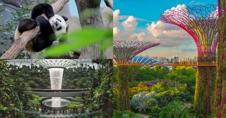 Singapore Shenanigans: 10 Fun-filled Activities for Every Explorer!