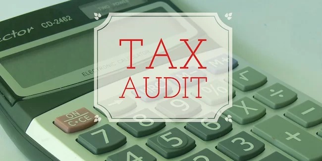 Audit Firms Under The Lens: 785 Fail To File Crucial Statutory Returns For FY24