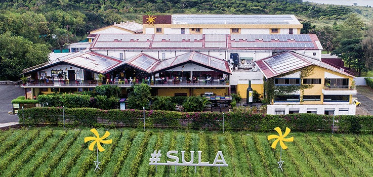 Sula Vineyards Posts Stable Q2 Revenue Amid Profit Dip; Wine Tourism Hits Record High