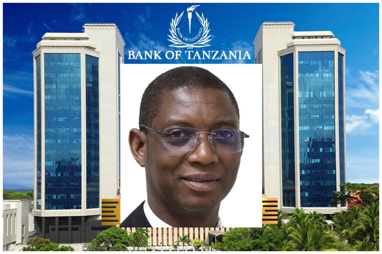 Tanzania's Financial Revolution: Can They Reach 85% Digital Access by 2028?
