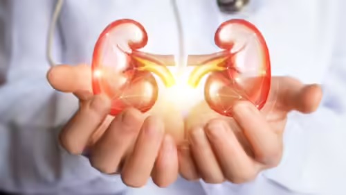 Kidney Under Pressure: 6 Everyday Foods That May Strain Renal Health, Warns Specialist