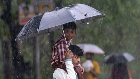 IMD Issues Red Alert as Heavy Rain Hits Vadodara, Narmada, and Tapi