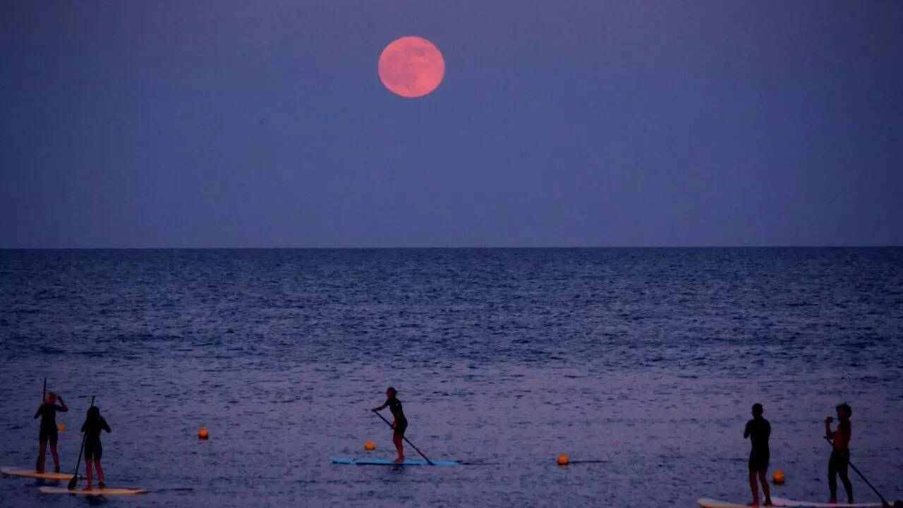 Berry Bright Night: When and Where to Watch 2025’s Strawberry Moon in India