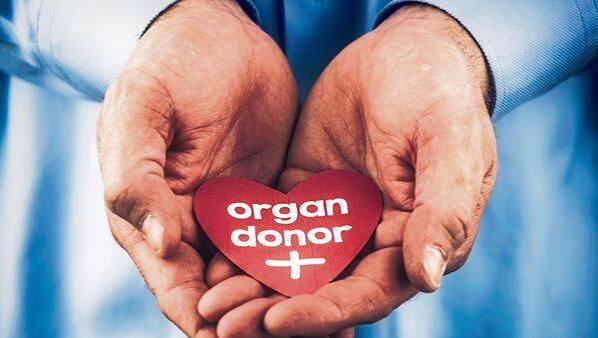 India's Organ Transplant System Is Set for a Major Rule Change