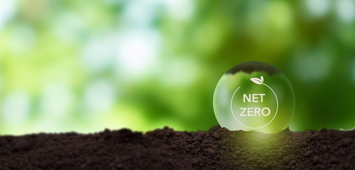 AP Sets the Pace for India's Net-Zero Future: CM Naidu's Bold Clean Energy Initiative