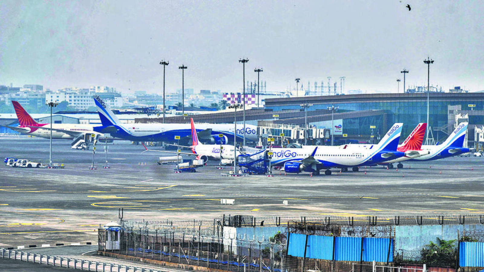 Celebi Grounded: Bombay High Court Puts Mumbai Airport Tender on Hold
