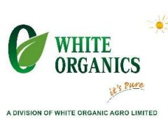 White Organic Retail Ltd Plans Historic Equity Share Issuance