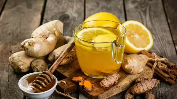 Logsday’s Morning Drinks Promise Immunity & Energy Without the Buzz