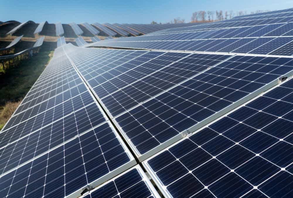Refex Green Power Triumphs with Landmark 250 TPD Bio-CNG Plant Deal in Coimbatore