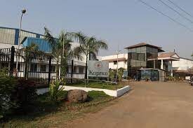 Kopran Reports ₹99.2 Million Loss In Q2 Despite ₹1.18 Billion Revenue