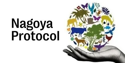 India Leads Global Compliance In Genetic Resources Under Nagoya Protocol