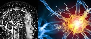 Smarter by Habit: 7 Daily Brain Boosters Backed by Science