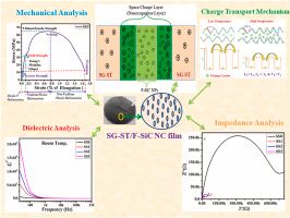 Kurukshetra University Researchers Unveil Insights on Functionalized Silicon Carbide Nanocomposites