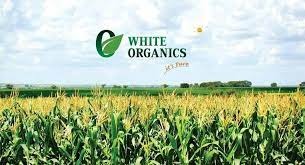 White Organic Retail Explores Potential Acquisition of Seven Billion Breaths