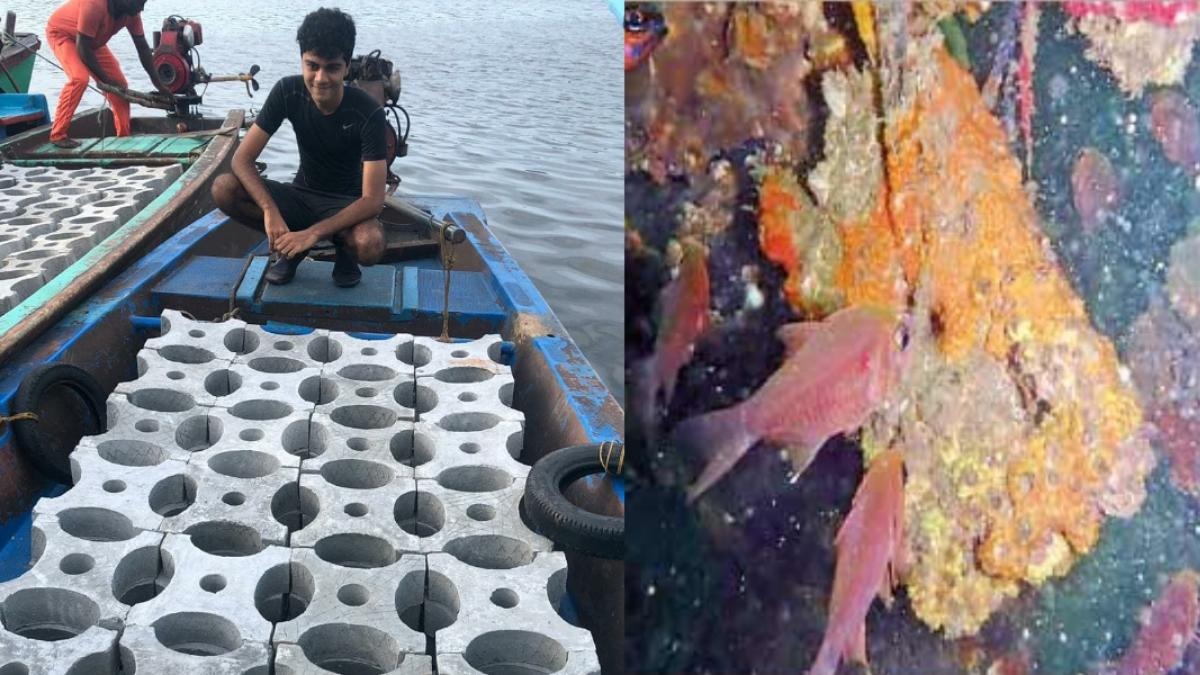 India’s First 3D-Printed Reefs to Revive Ramanathapuram Coast