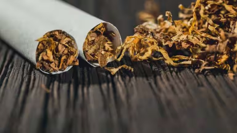 Government's No-Tax Hike Decision on Tobacco Leaves Activists Fuming: A Setback for Public Health Efforts