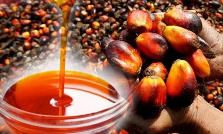 Indonesia Sets August Palm Oil Price at $910.91—Global Trade Eyes Stability