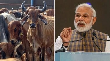 Tradition Meets Science At Upcoming Cow Culture Museum In Mathura