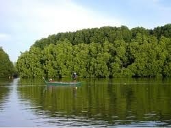 The Enigma of Sundarbans: Exploring the World’s Largest Mangrove Ecosystem