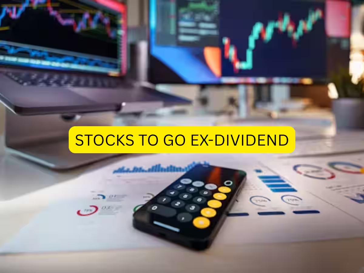 Dividend Rush: RITES And Dozens More Set To Go Ex-Dividend — Are You On The List?
