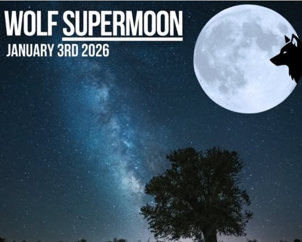 Sky’s Grand Show: India To Witness The Year’s First Supermoon