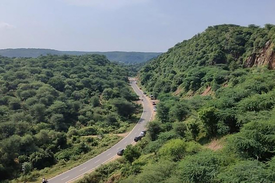 Turning Grey to Green—Haryana Begins Aravalli Revival Mission