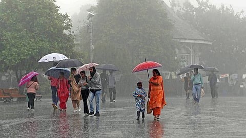 IMD Issues Orange Alert For Heavy Rain In 10 Kerala Districts As Monsoon Intensifies