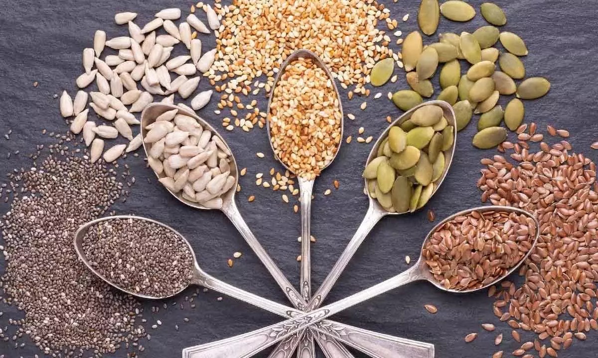 Power Up Your Morning: Five Seeds That Promote Hair Growth and Strength