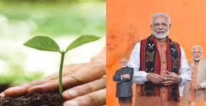 Leaves of Love: Odisha Gifts 75 Lakh Trees to Grow with Modi’s 75th