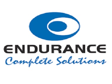 Endurance Technologies Q2 FY26: Robust Growth with Strategic Expansion Focus