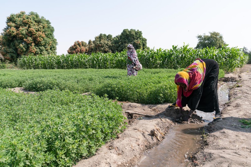 Roots of Change: Women Farmers Strengthen Rural Foundations