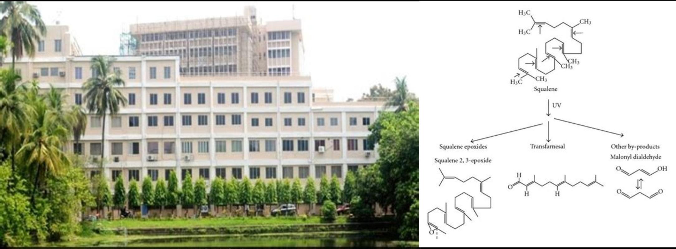Indian Statistical Institute Files Patent for Novel Squalene Oxidation Process