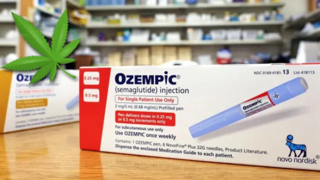 Hollywood's slimming Frenzy: The Controversy and Concern Raised by Ozempic
