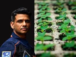 Seeds in Space: India’s Homegrown Crops Begin a Cosmic Experiment