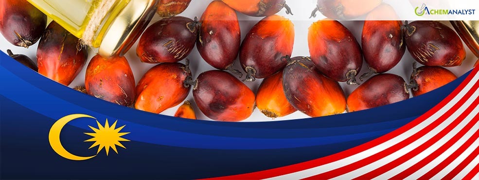 Palm Oil Dips on Weak Rival Oils, but Analysts Remain Bullish on 2025 Outlook