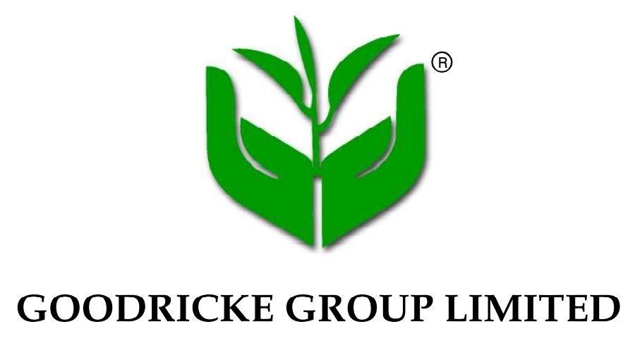 Goodricke Group Signs Non-Binding MoU For Chalouni Tea Estate Sale