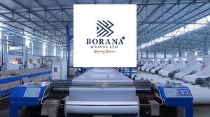Borana Weaves Hybrid Power Project Commissioning Delayed to August