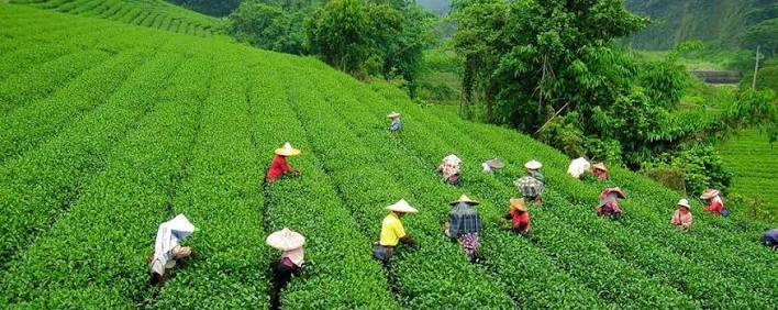 The Grob Tea Company to Acquire 100% Stake in Bazaloni Group