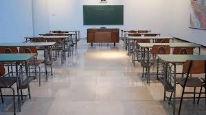 Branching Out: CBSE Unlocks New Doors for Primary Education
