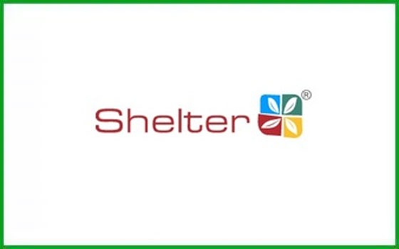 Shelter Pharma Switches Gears—What’s Behind the ₹500 Cr Convertible Play?