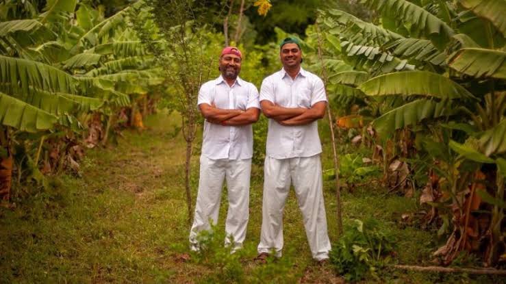 Transparency You Can Taste: Two Brothers' QR Revolution in Organic Food