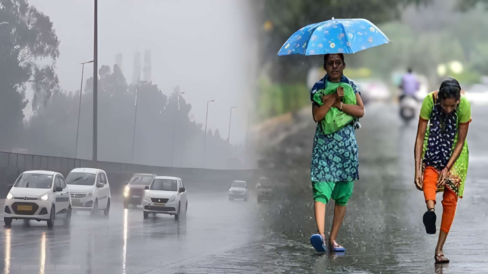 IMD Issues Orange Alert in Punjab and Haryana as Heavy Rain Continues