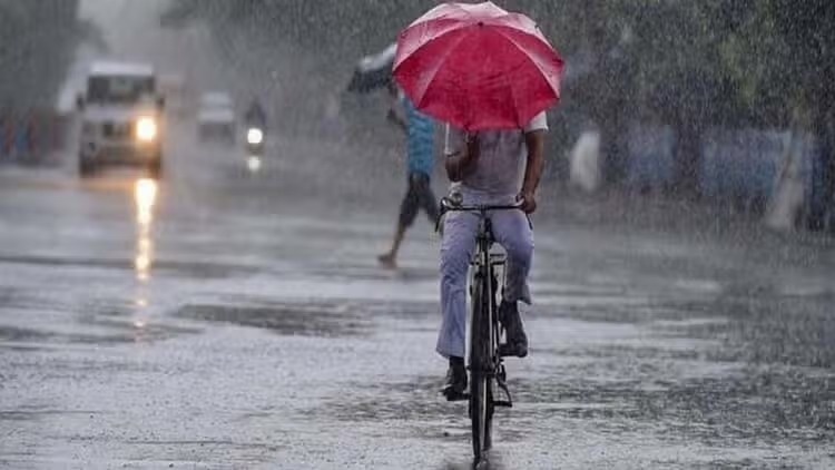 Rain Reigns Supreme: 80% of India Basks in Normal to Excess Monsoon Showers