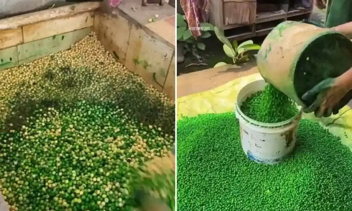 Green Peas Turn Red Flag: Karnataka's Snack Shock
