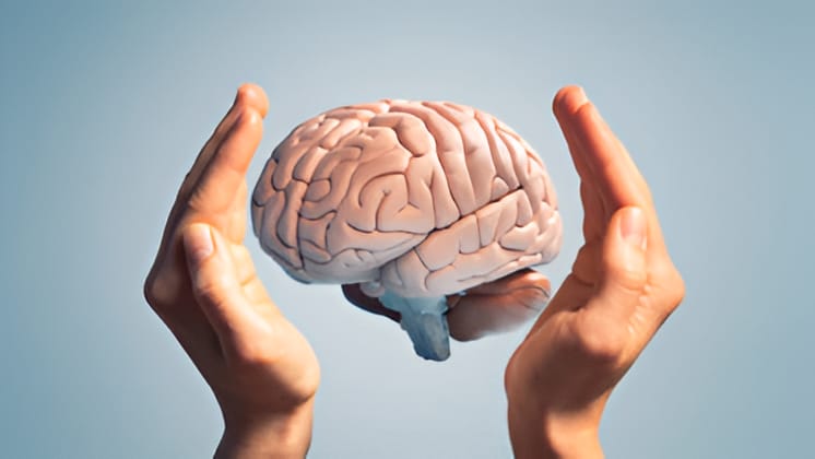 Neuro-Fitness Revolution: Why Your Mind Needs A Workout Plan