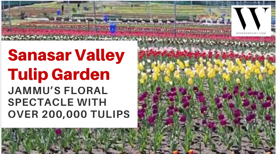 What Makes Jammu’s Upcoming Tulip Garden at Sanasar Valley A Must-Visit Destination This Spring?