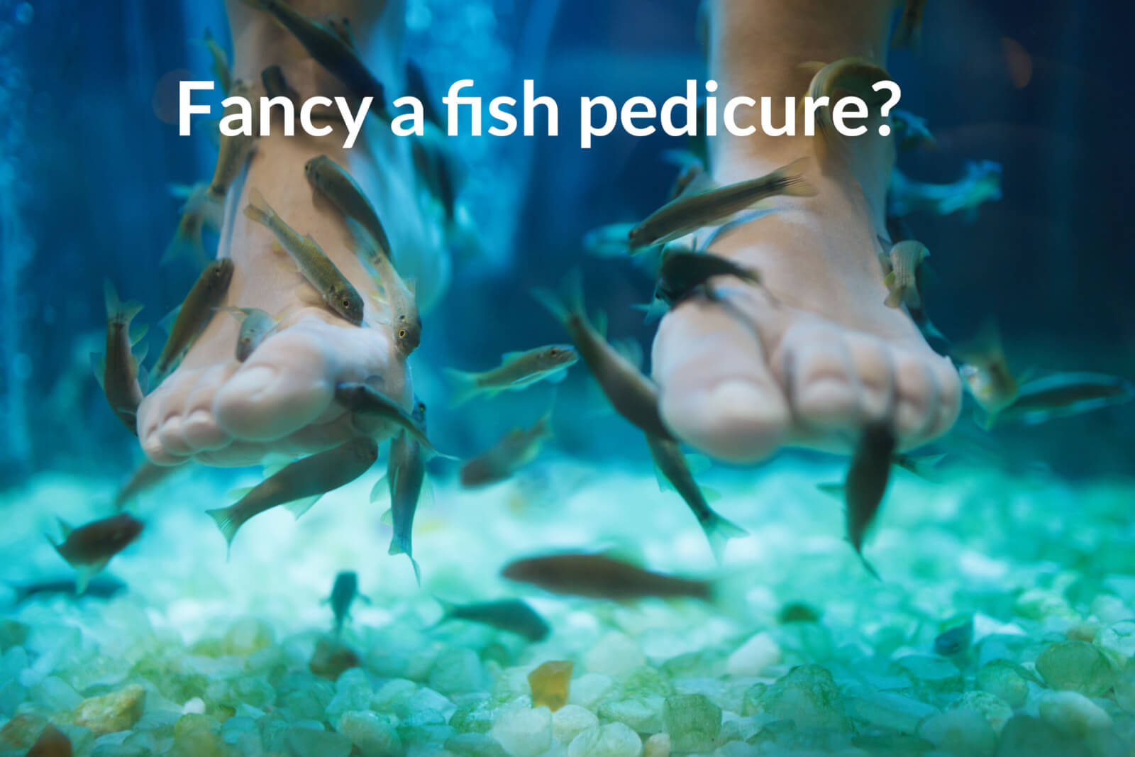 Toe-tally Unsafe? Why Fish Pedicures Could Be a Health Hazard