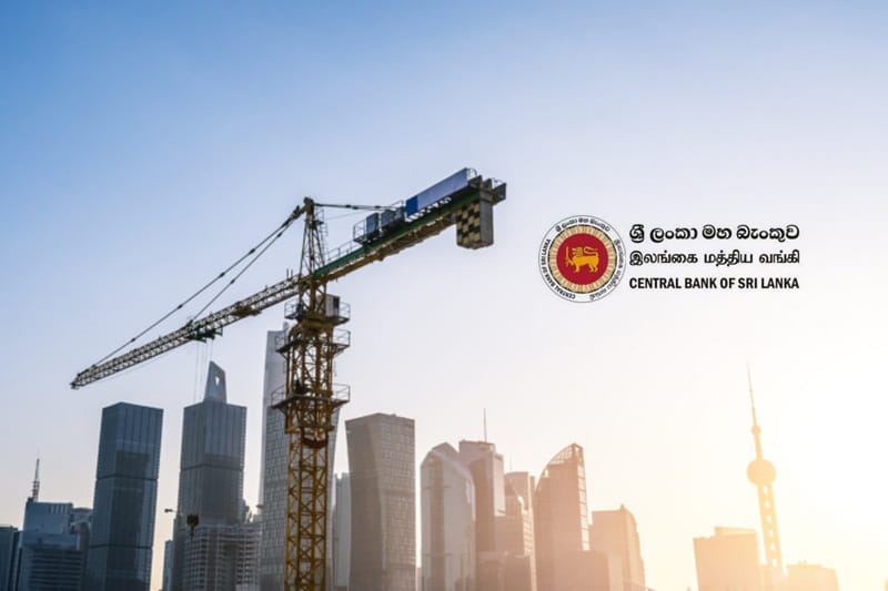 Growth Gears Down: Sri Lanka’s November PMI Tells a Tale of Two Sectors