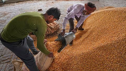 Dried Out: El Niño Threatens 'Relatively Severe' Hit to 12 Indian States