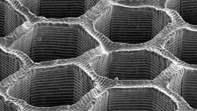 Tiny Atoms, Mighty Metals: Scientists Sculpt Custom Microstructures with 3D Magic
